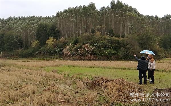 江津区陈老师带着爱徒寻龙点穴